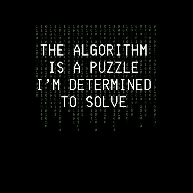 Algorithm Puzzle Solve Binary Code