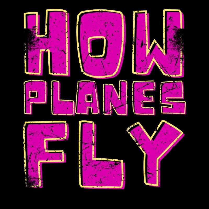 How Airplanes Fly Design for Pilots