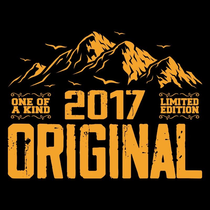 Vintage 2017 Cadeau d’anniversaire - Retro 2017