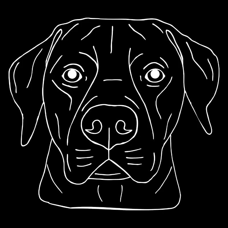 Labrador