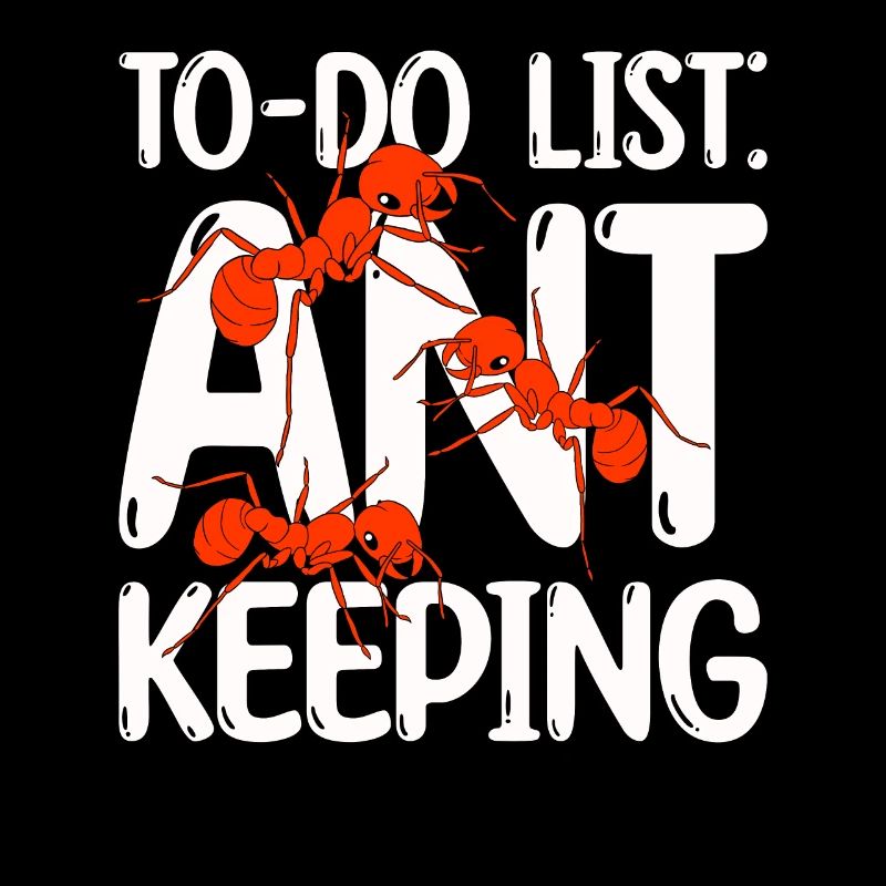 Fourmis fourmilières d’élevage de fourmis