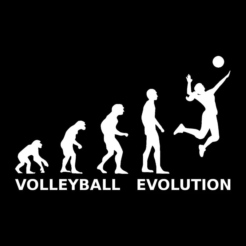 Volleyball Evolution