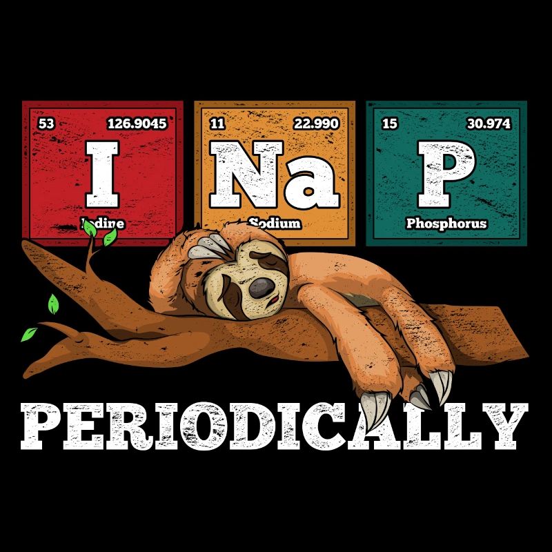I sleep occasionally Funny gift sloth