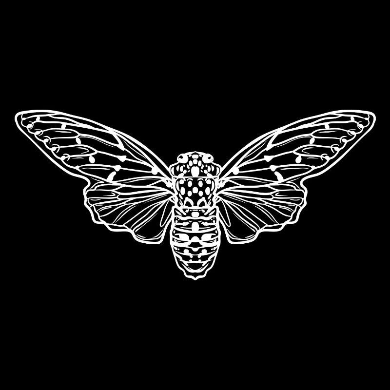 Cicada Minimalist