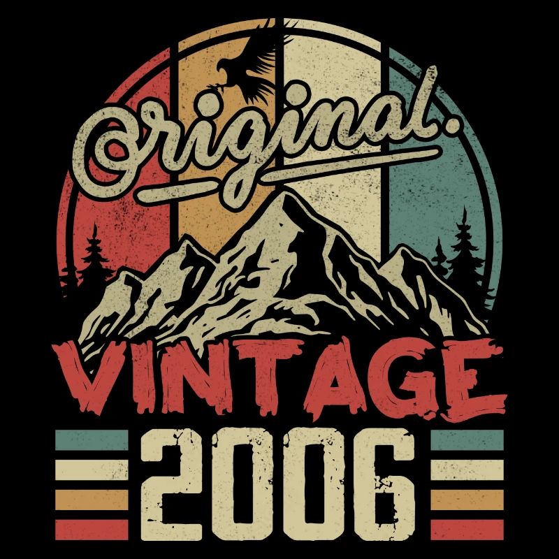 Vintage 2006 Retro Cadeau Anniversaire Né En 2006
