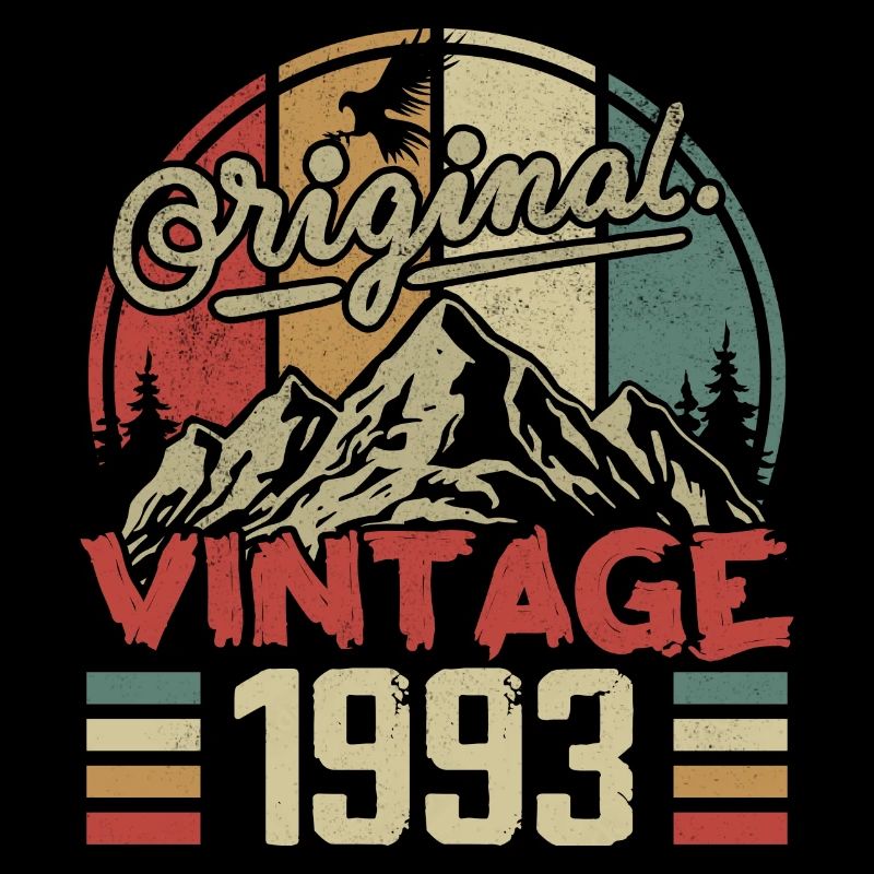 Jahrgang 1993 Retro Geburtstagsgeschenk Geboren 1993