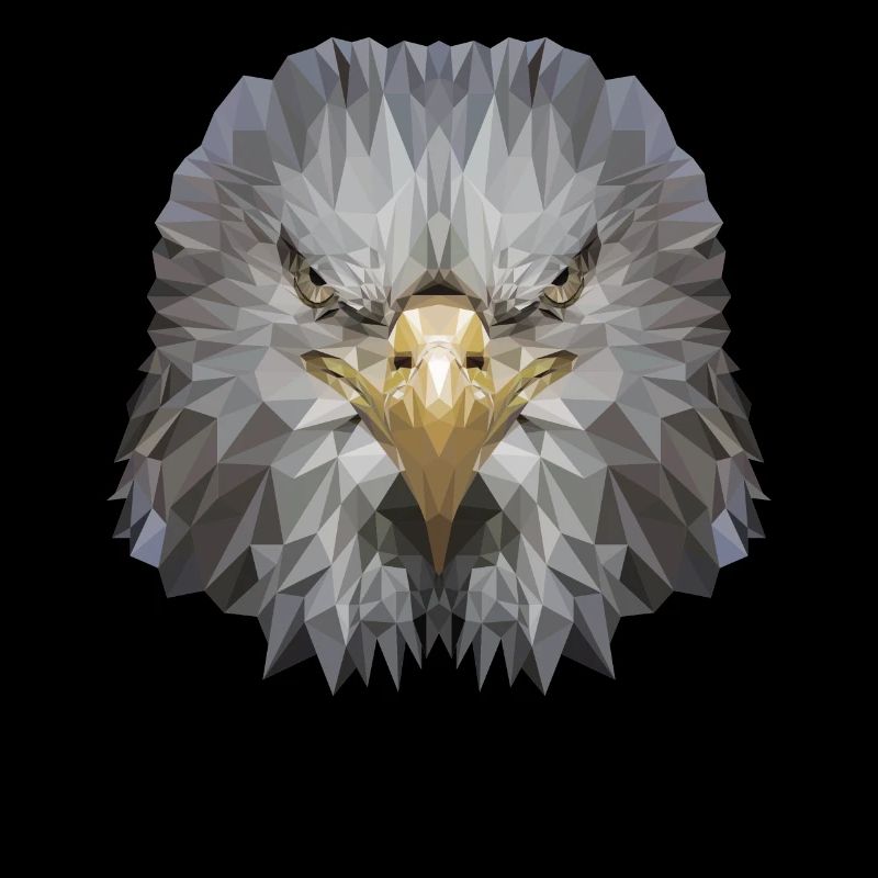 Aigle Polygone Oiseau de proie
