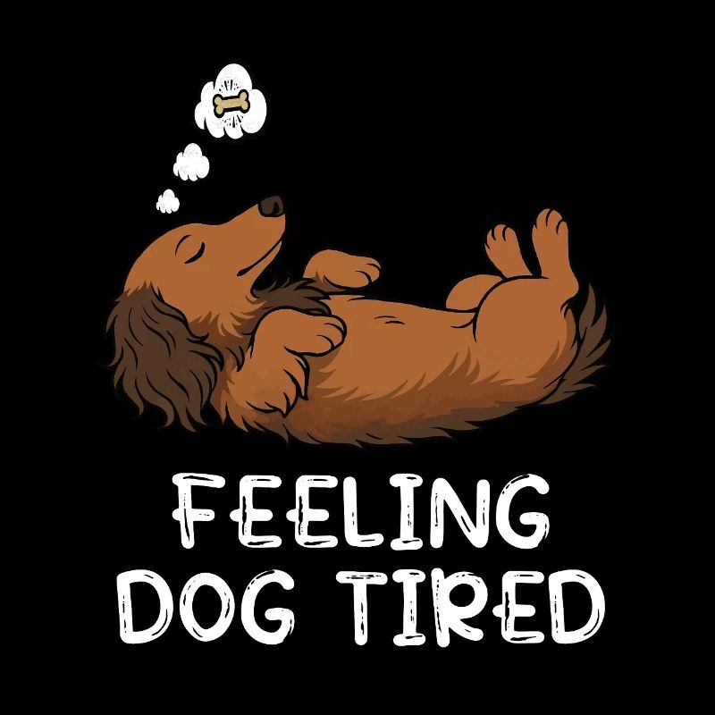 Se sentir fatigué par chien Teckel