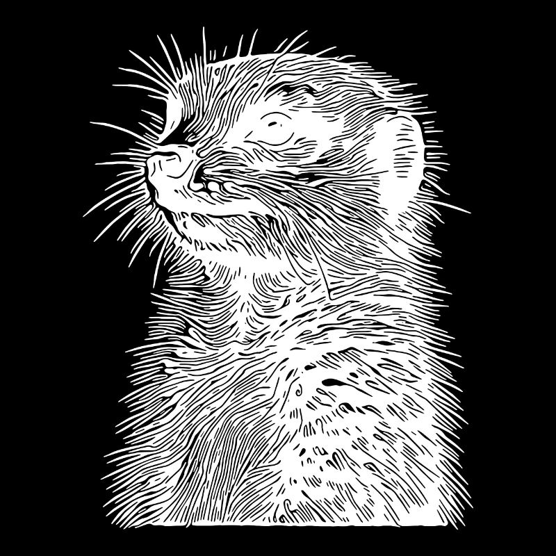 Süsses kleines Erdmännchen mit Querstreife