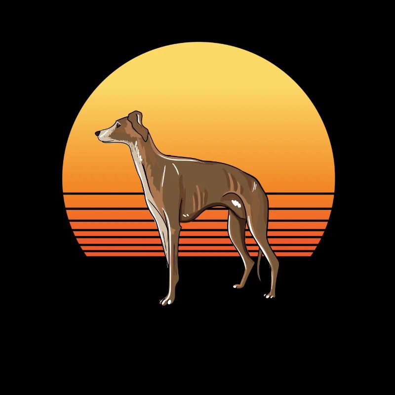 Windhund Sonne