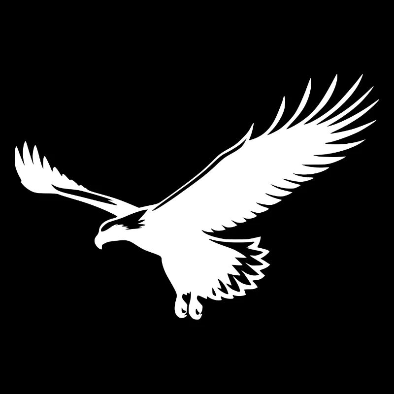 Adler schwebt im thermischen Segelflug in der Luft