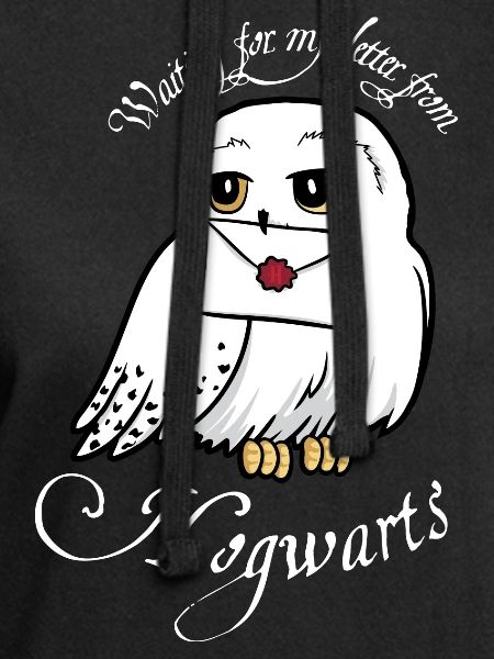 Harry Potter Hedwig Letter