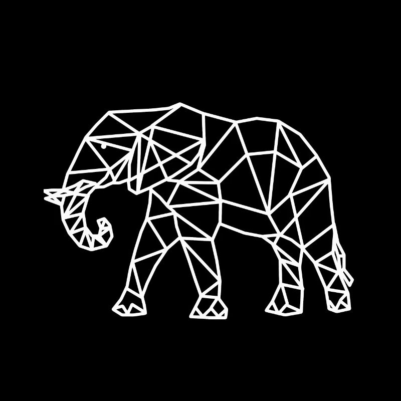 Elephant geometry geometric