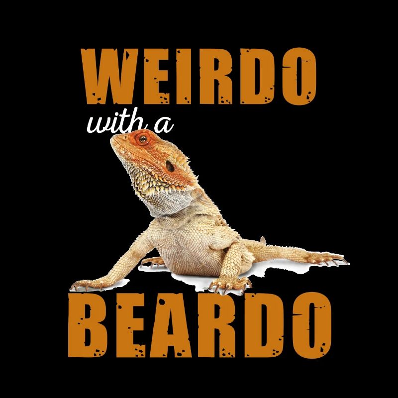 Reptilien Wierdo With a Beardo Iguana Bartagame