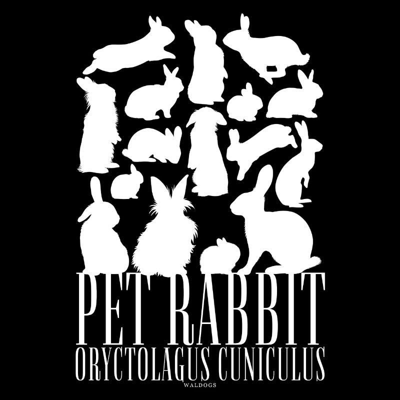 Pet Rabbit