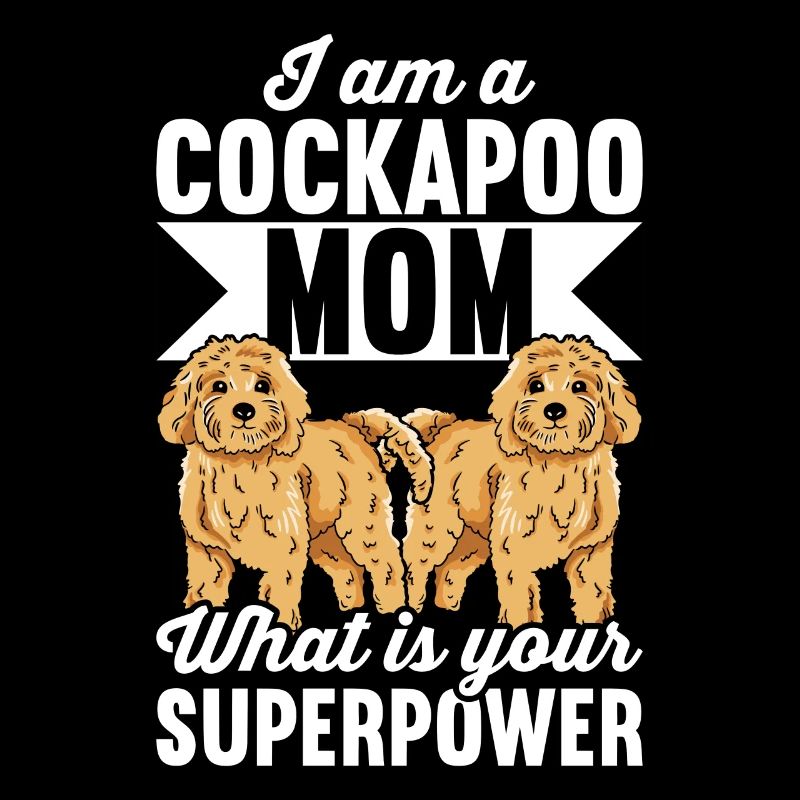 Cockapoo Hund