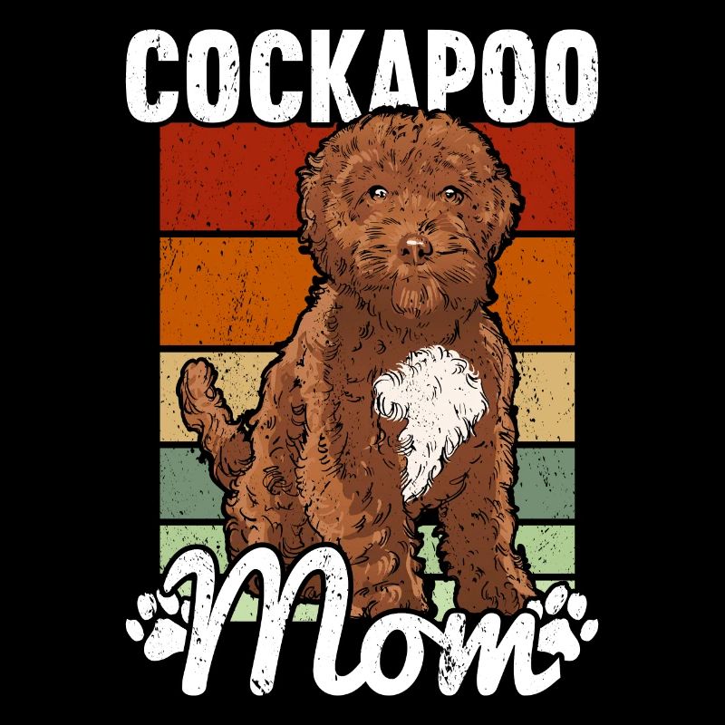 Cockapoo