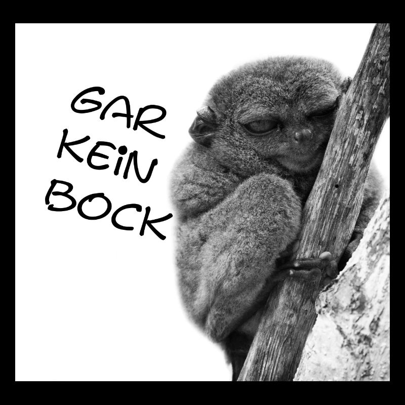 Gar kein Bock, Koboldmaki, Affe, Nö einfach nö, No