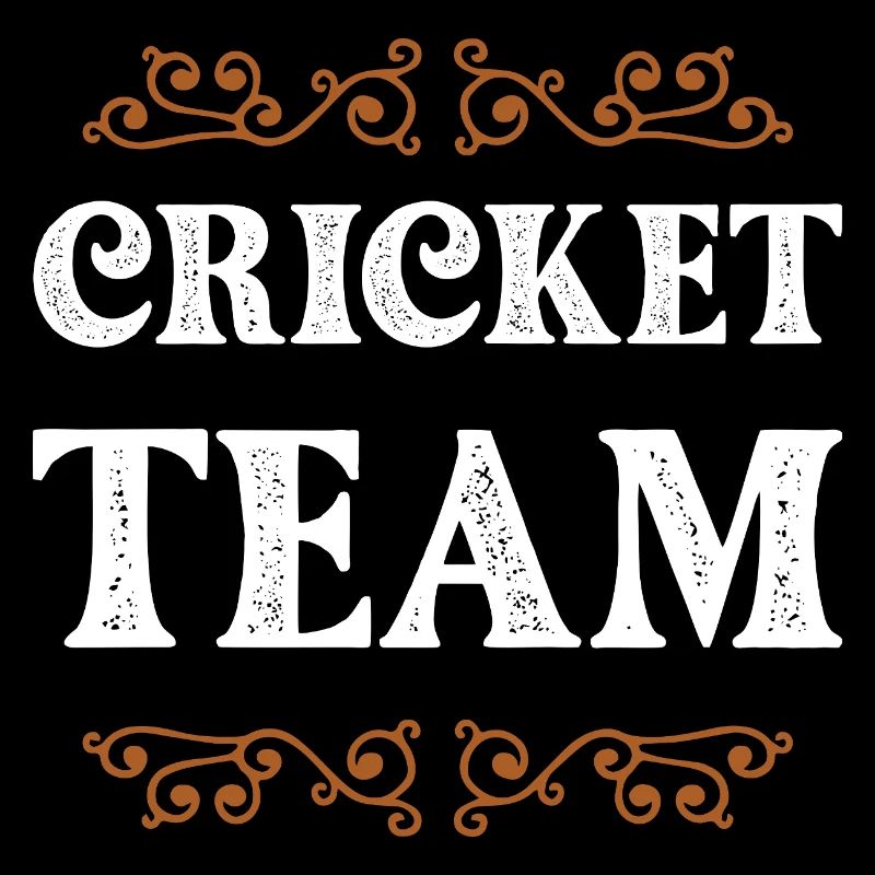 Équipe de cricket