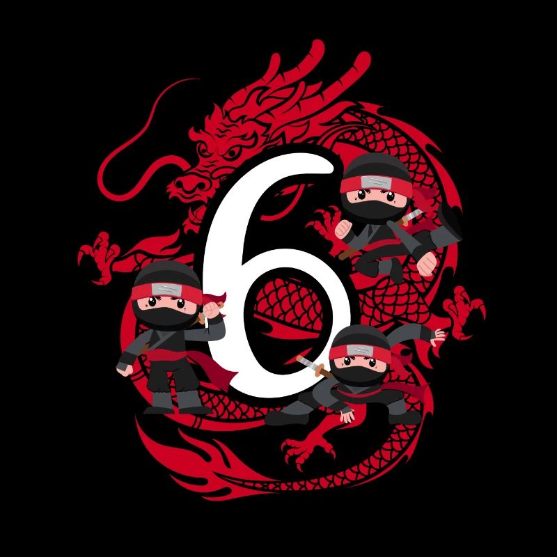 6. Geburtstag Junge 6 Jahre Ninja Drache Kostüm
