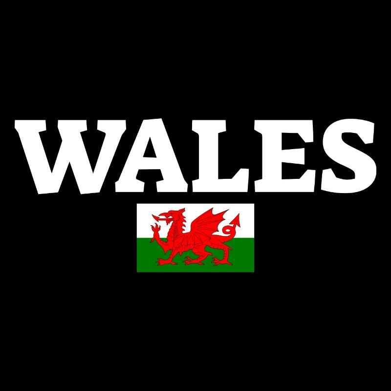 Wales Welsh flag Welsh