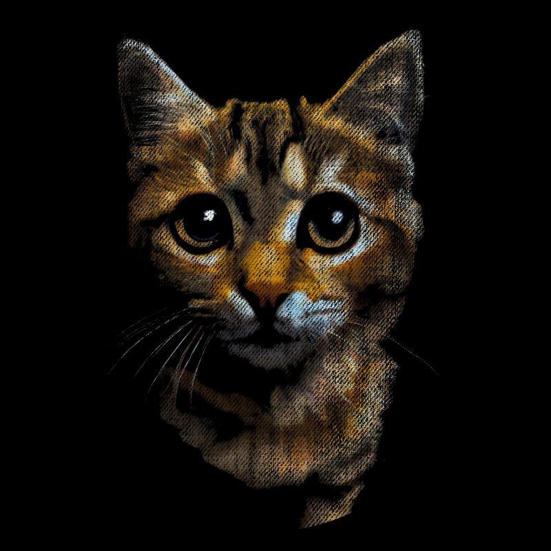 Mignon petit chat tigre