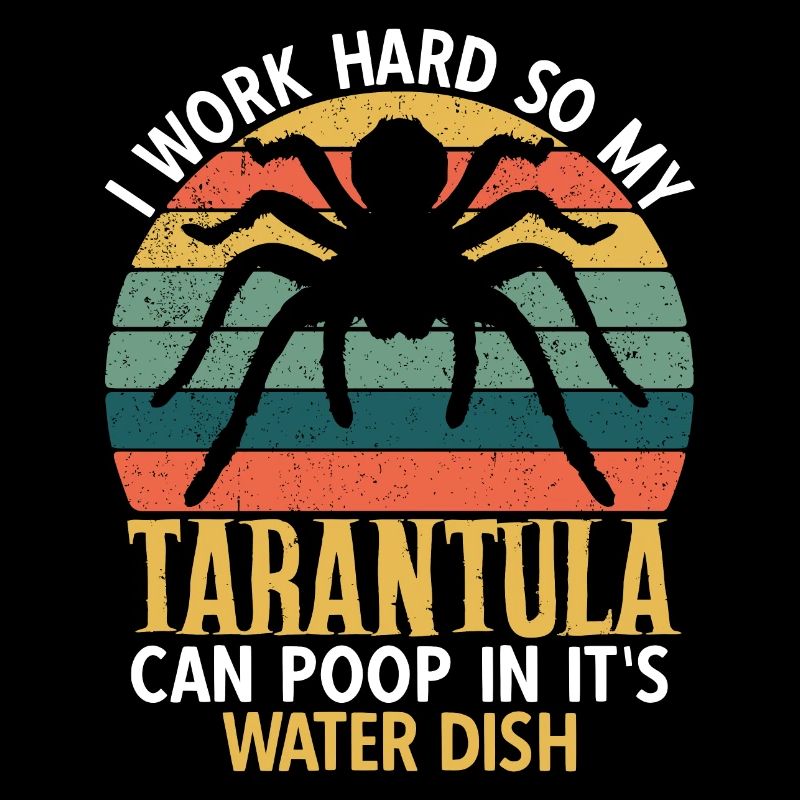 Tarantula Spiders Pet Tarantula Collector