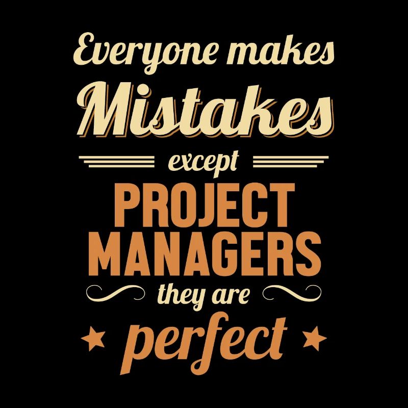 Project Manager are Perfect Project Engineer