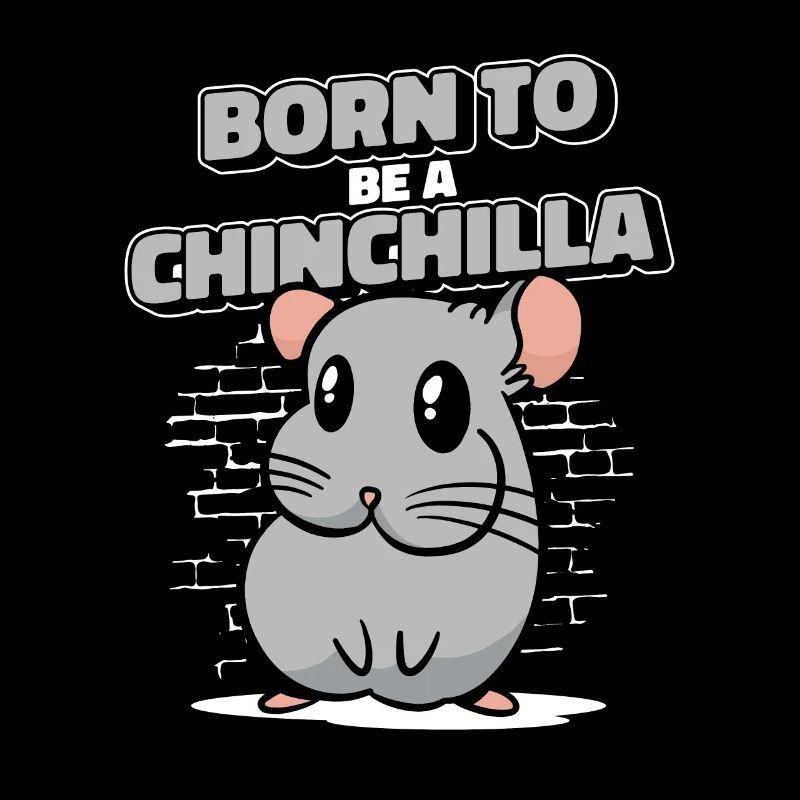 Né pour être un chinchilla à queue courte longue queue