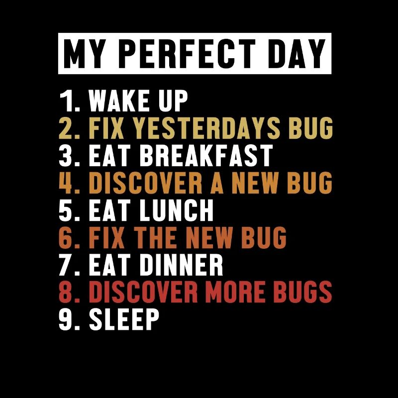 Correction de bugs Perfect Day Développeur Codeur Programmeur