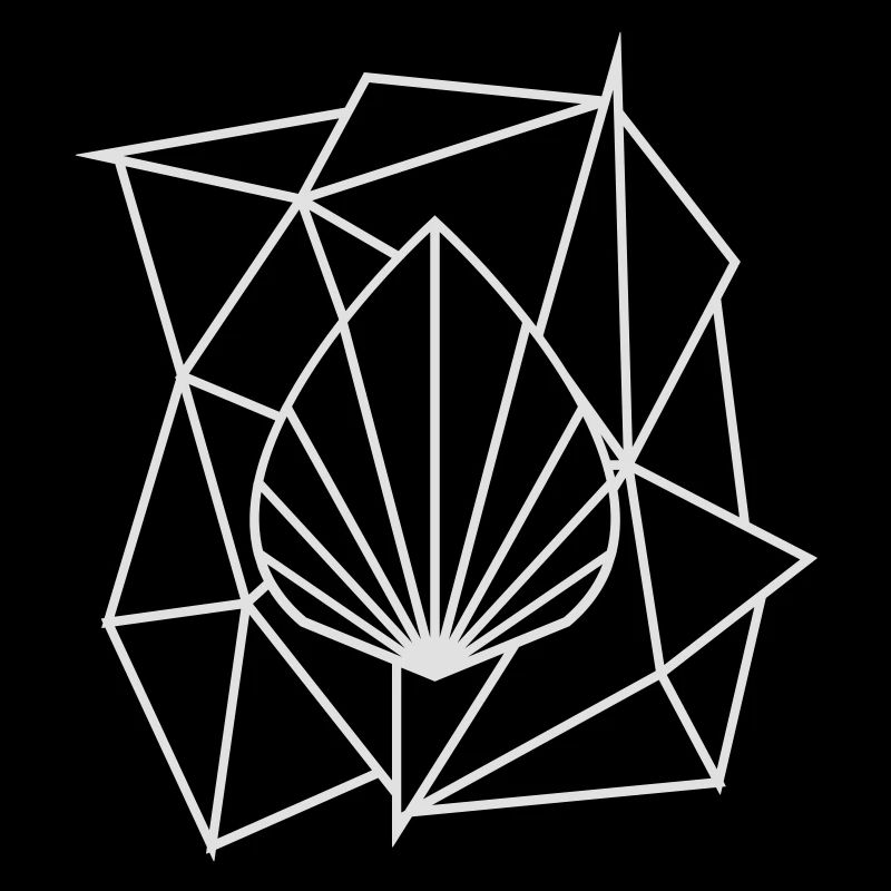 Polygon Augmented Logo