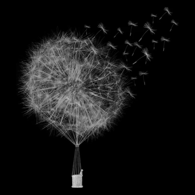 Heißluftballon Löwenzahn. Geschenk. Idee.