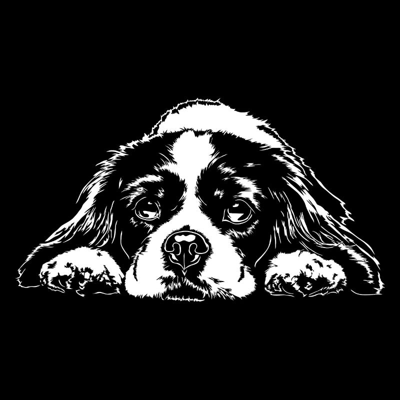CAVALIER KING CHARLES SPANIEL chiens chien Wilsigns