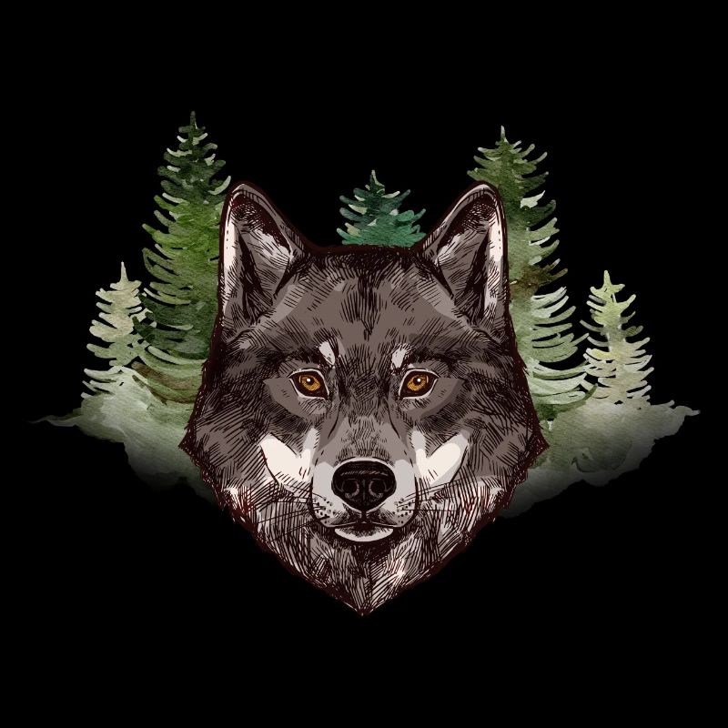 Wolf Grey Forest Wild Wildlife Creature