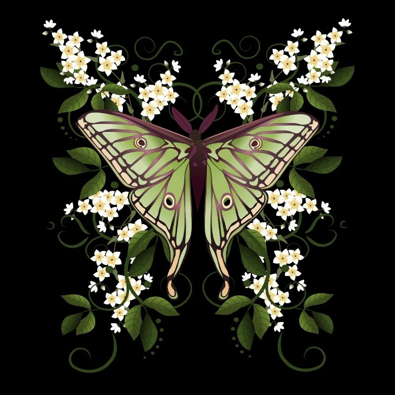 Butterfly Moth Butterfly
