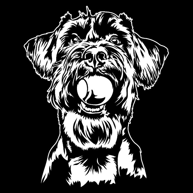 Schnauzer géant Schnauzer chien chien Wilsigns