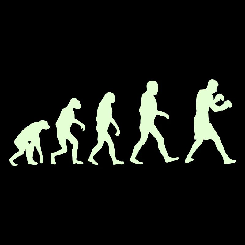 Boxing Evolution logo