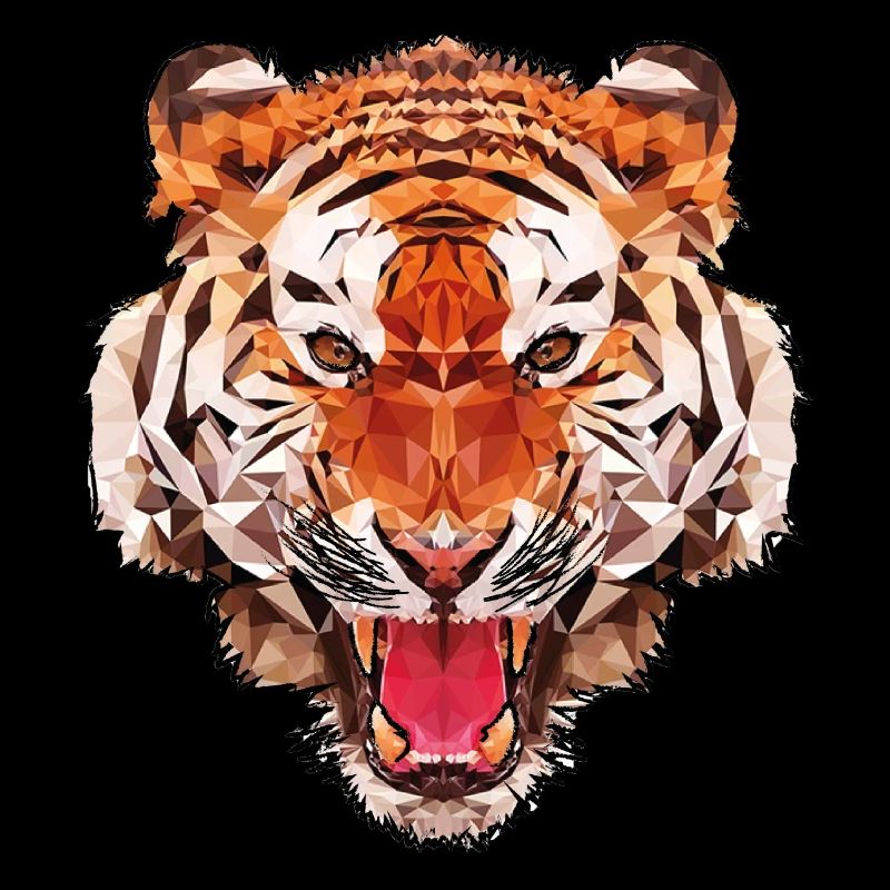 Conception de polygone de tigre
