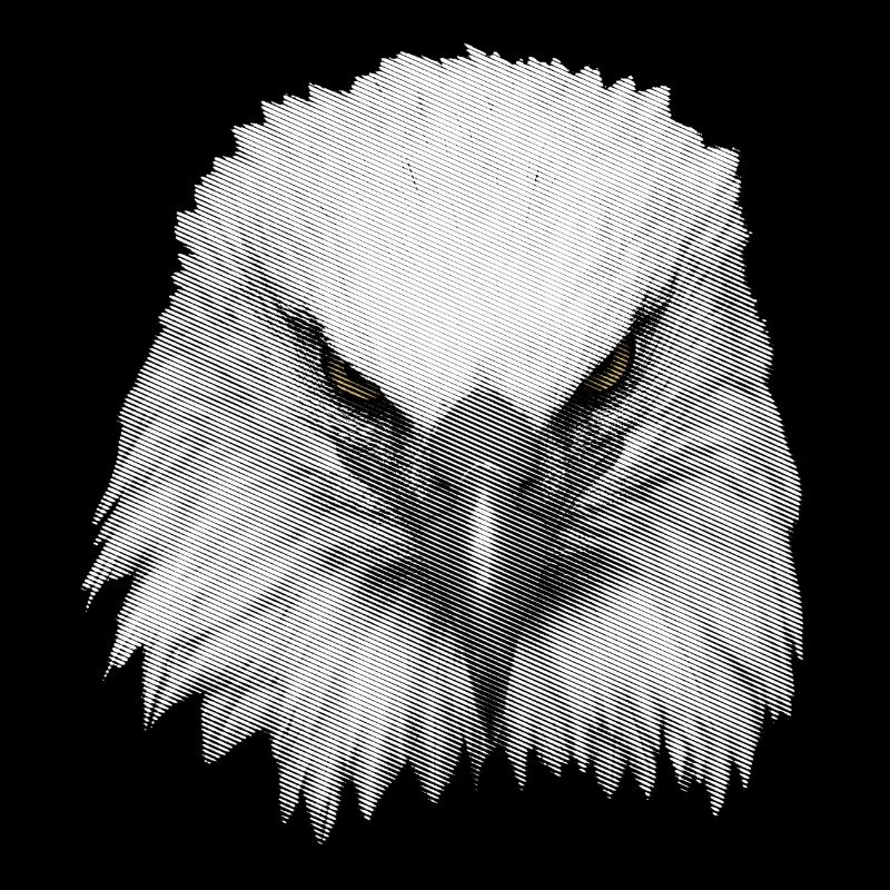 Big eagle head
