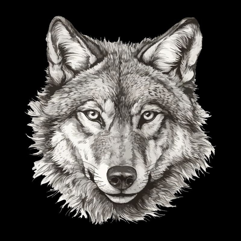 Wolf Wolf Head Black & White Drawn Art