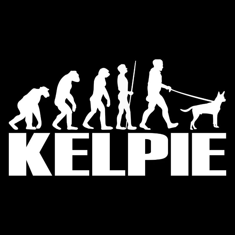 Kelpie Australian Hunde Evolution