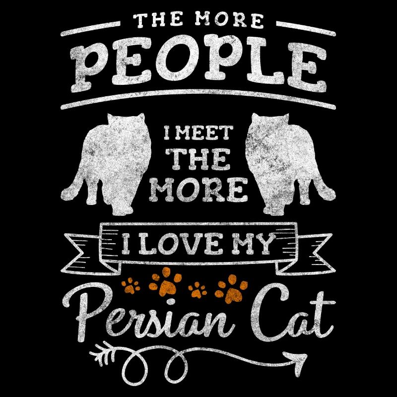 Persan Mignon Bébé