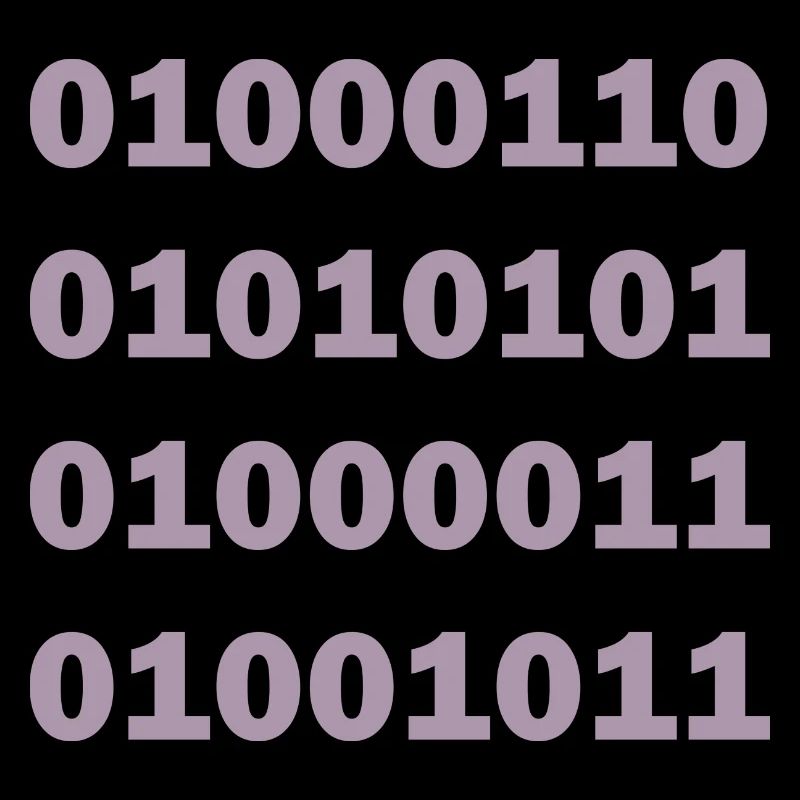 Binary Code Fuck