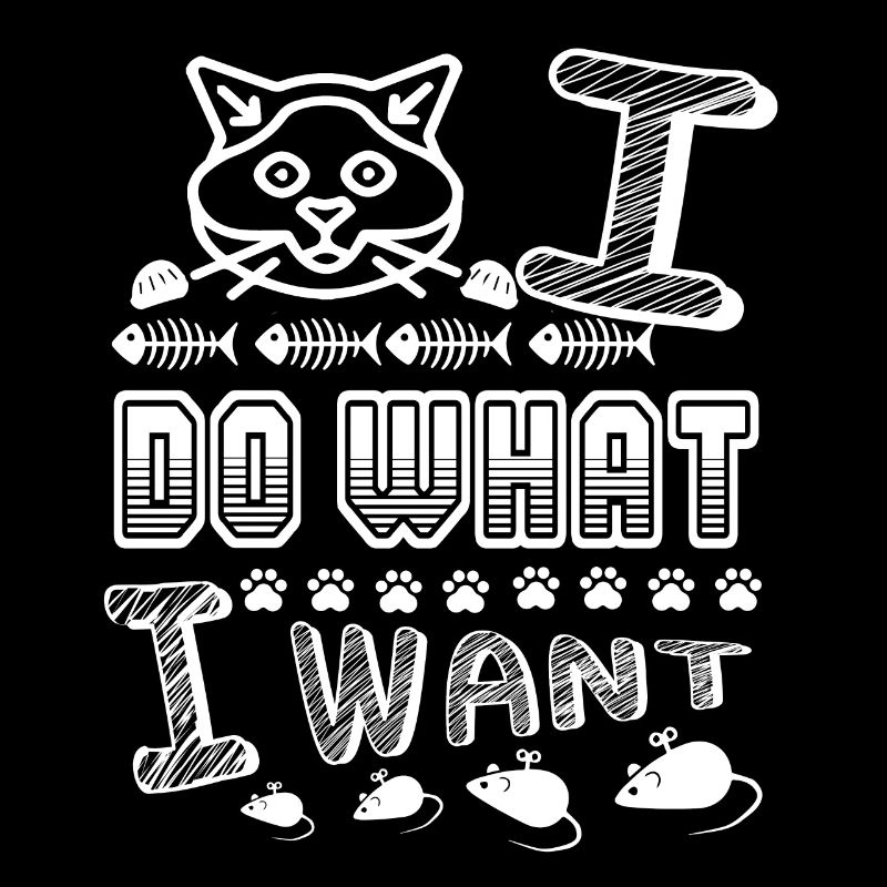 Birman Katze Birman Katze Ich mache was ich will