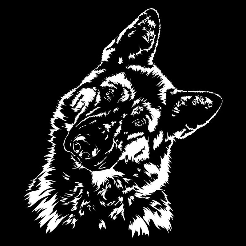 DEUTSCHER SCHÄFERHUND IGP Wilsigns Hunde Hund