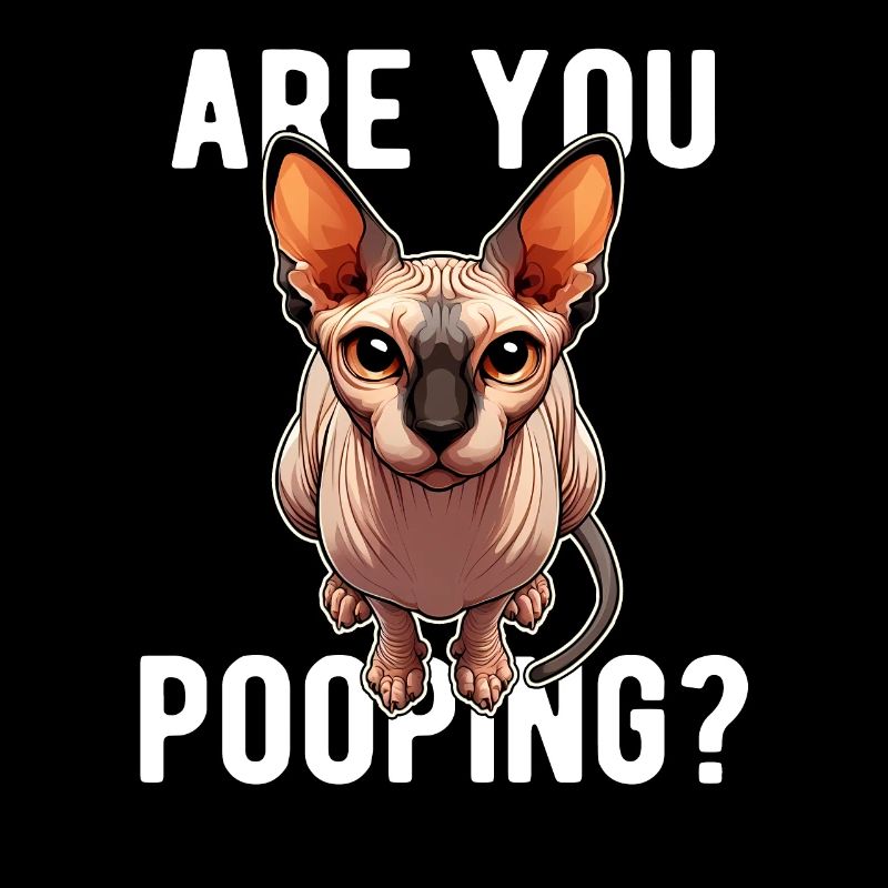 Est-ce que tu fais caca ? Drôle de chat Sphynx