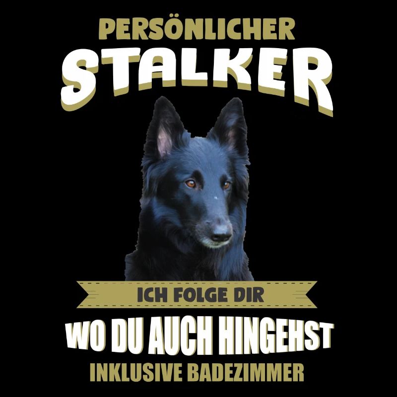 Groenendael Hund - Groenendael