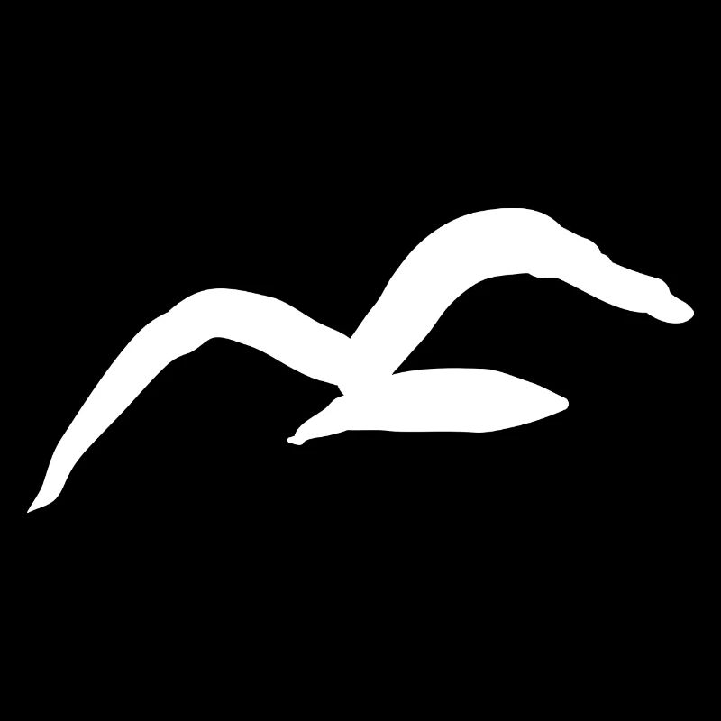 Möwe