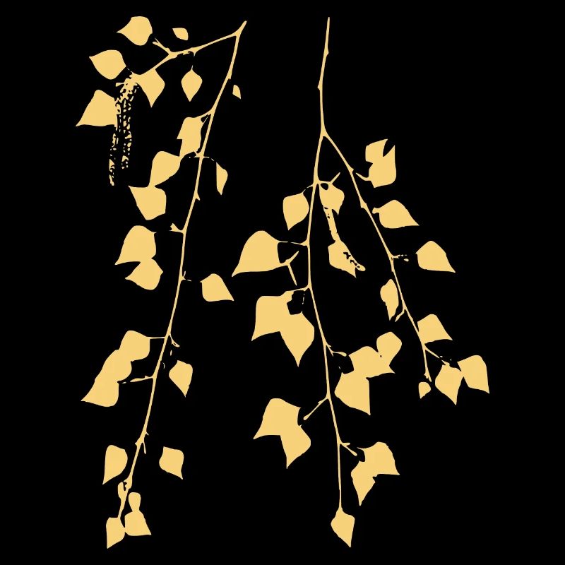 Branche de bouleau - Nature - Durable - Arbre forestier