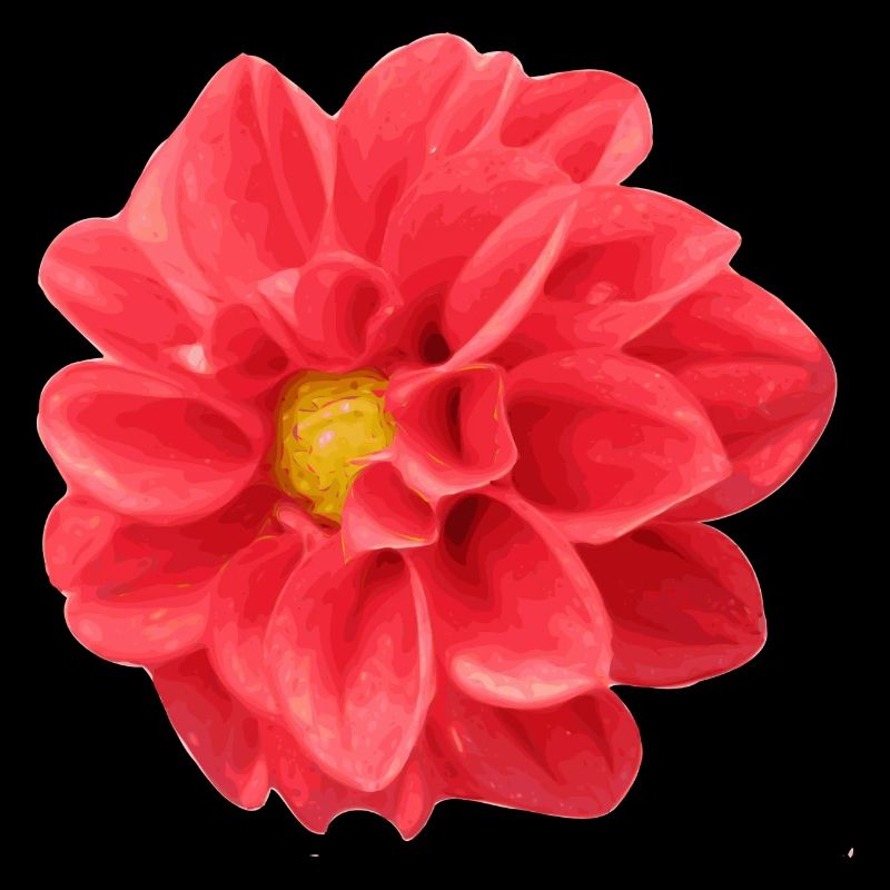fleur